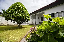 Welcome to a Magic Place