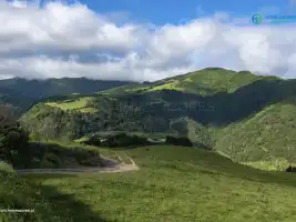 Faial da Terra