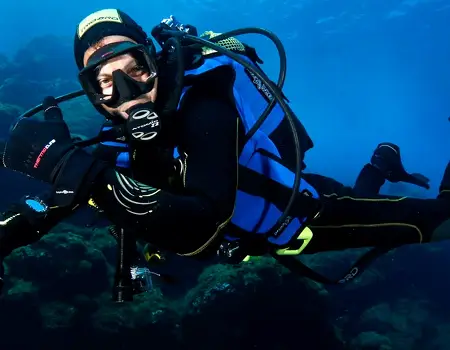 Dive In The Azores Sea