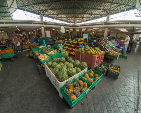 Home Azores - Casa da Ladeira 4 32