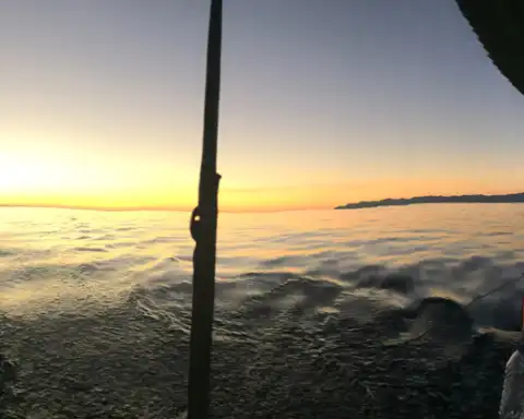 Home Azores Passeios Privados de Veleiro 6