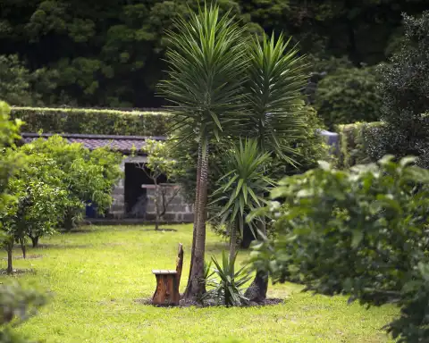 Home Azores - Welcome to a Magic Place 6