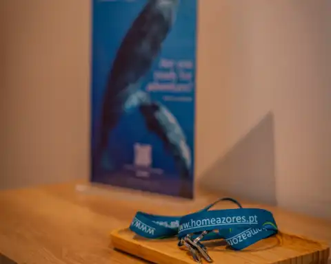 Home Azores - Loreto Apartment 25