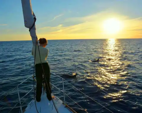 Home Azores Passeios Privados de Veleiro 2