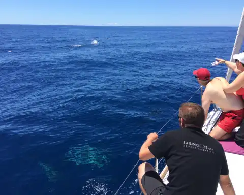 Home Azores Passeios Privados de Veleiro 5