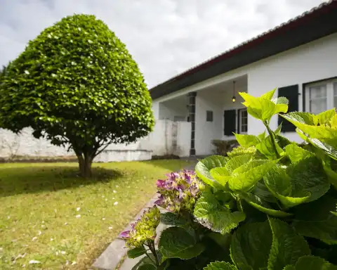 Home Azores - Welcome to a Magic Place 1