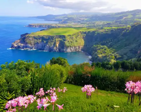 Home Azores Van Tours 12