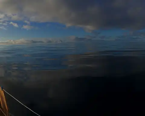 Home Azores Passeios Privados de Veleiro 9