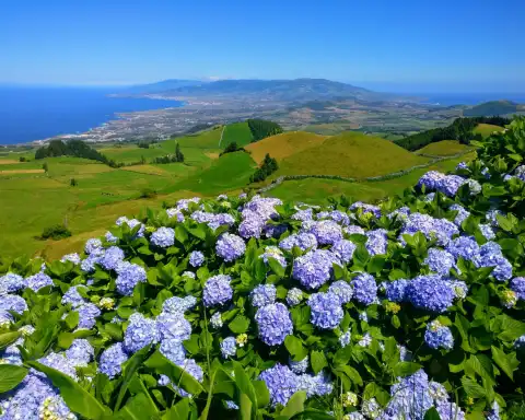 Home Azores Van Tours 16