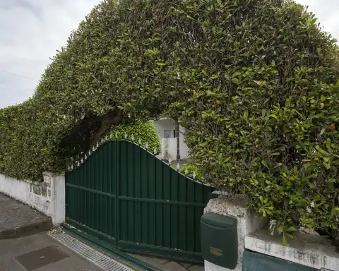 Home Azores - Welcome to a Magic Place 2