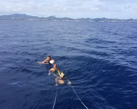Home Azores Passeios Privados de Veleiro 12