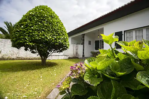 Welcome to a Magic Place