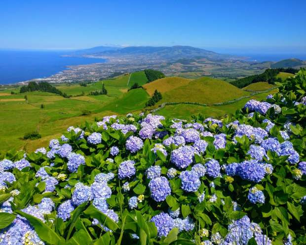 Home Azores - Van Tours
