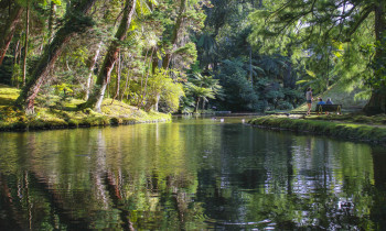 Furnas