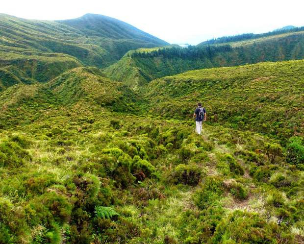 Home Azores - Trilhos Pedestres