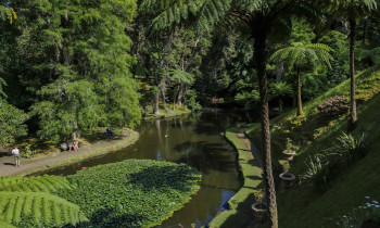 Furnas