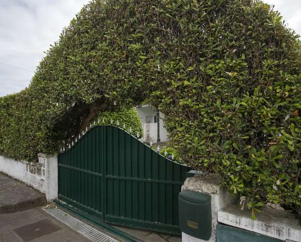 Home Azores - Welcome to a Magic Place
