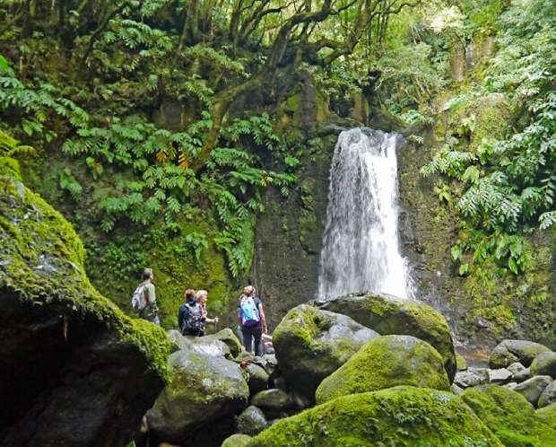 Home Azores - Trilhos Pedestres