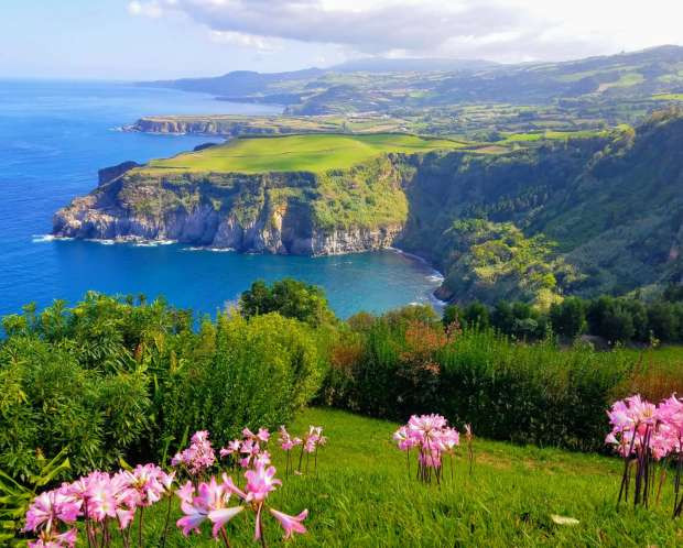 Home Azores - Van Tours